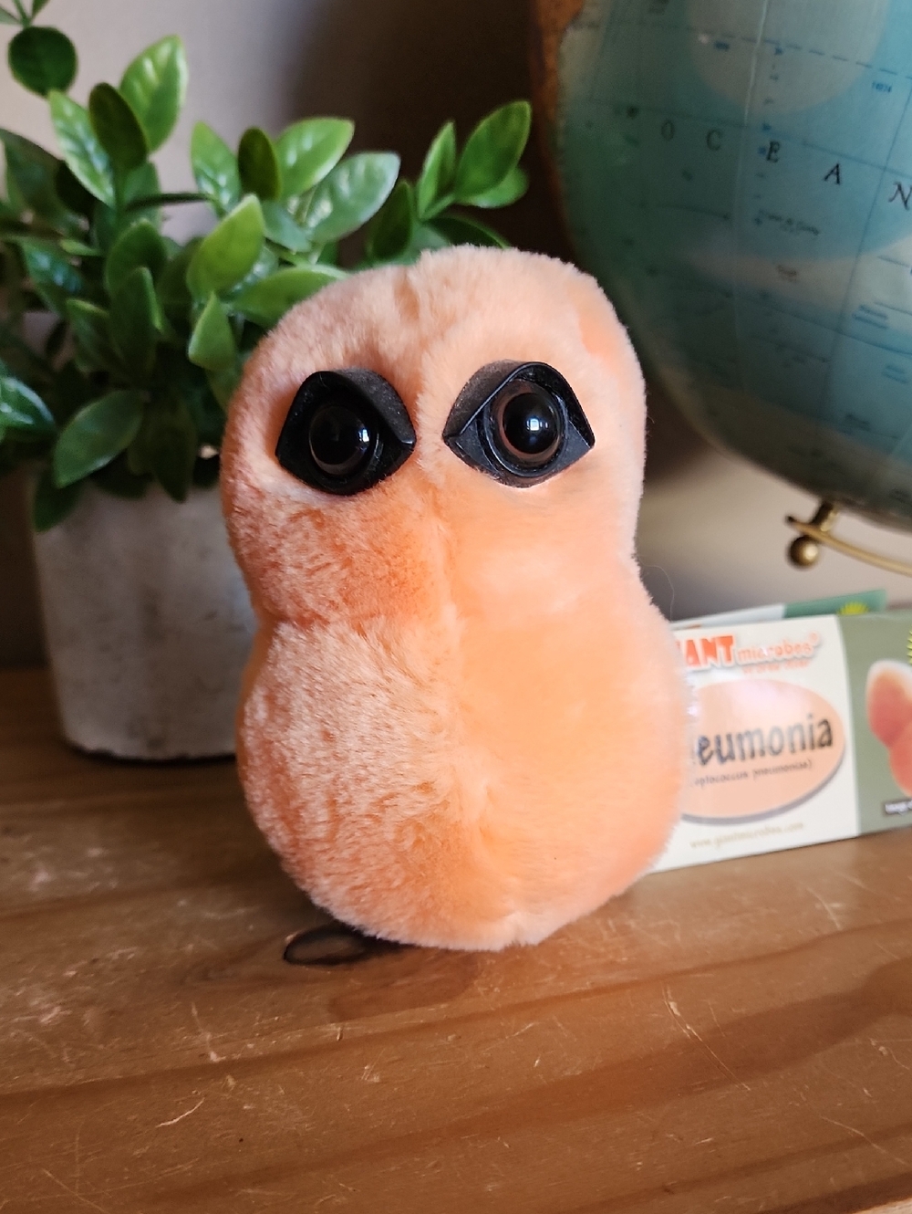 GIANT microbes Pneumonia Streptococcus